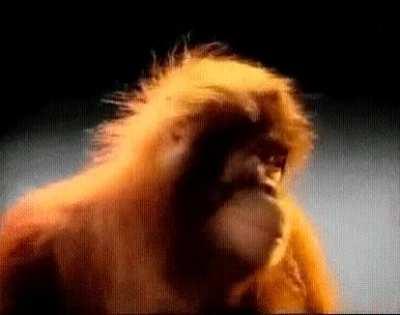 When you complete an operator challenge on Cold War, and then you realize next one is on Warzone.