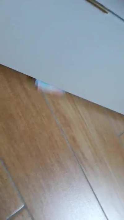 Il mostro sotto al letto paga l'affitto