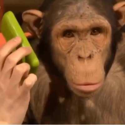 “CHP camileri ahır yaptı” diyenlere bir şey anlatıyorumdur :