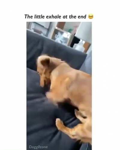 Trying to get comfortable