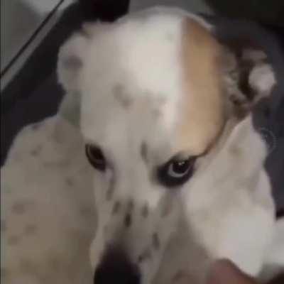 Descobriram ele naaaooo