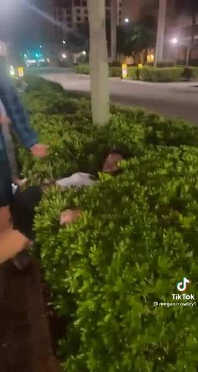 That actually looks comfy