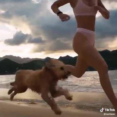 HMC while I get tripped over by a pup
