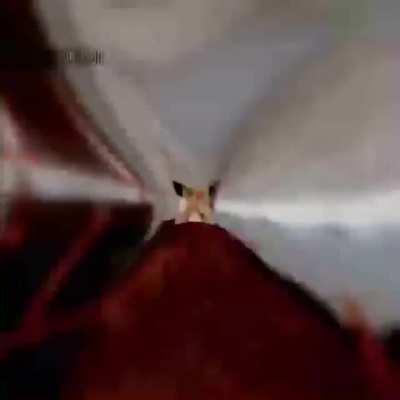 JOIN THEM JOIN THEM JOIN THEM JOIN THEM JOIN THEM JOIN THEM JOIN THEM JOIN THEM