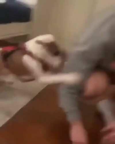 Hey! Stop, it's my food!