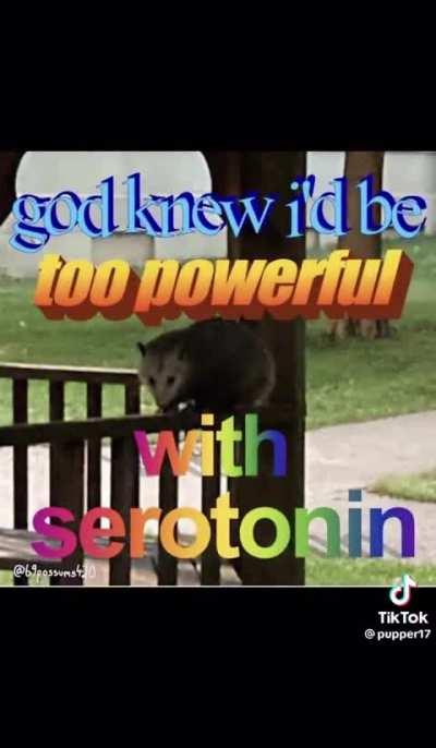✨️serotonin✨️