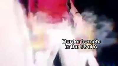 Roadmap of 2020 so far