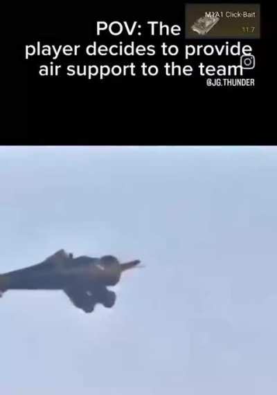Because a little teammy has only 1 tank and 1 plane at their setup