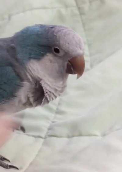 No, YOU’RE cute 🥰 (sound)