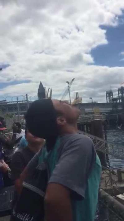 Seagull really do be monchin' doe