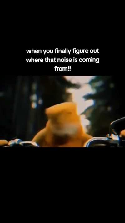 Freedom then finding out