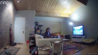 This isn't flying, it's falling with style.