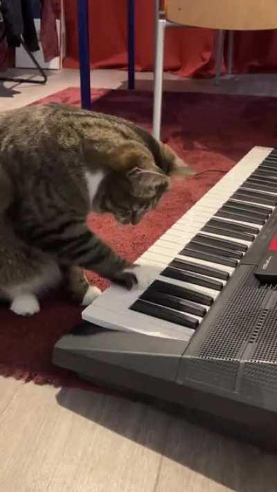 Да, такое увидишь не каждый день!