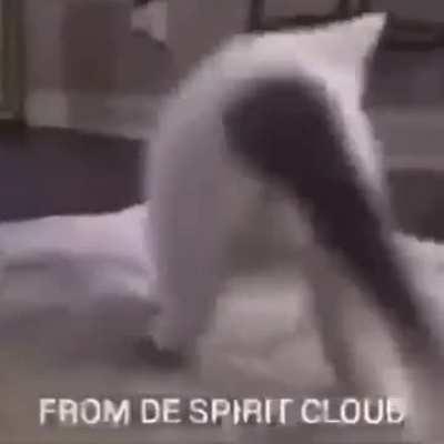 We need to get these cats. We have a.lit in common. (I think the song Is about Master Kohga)
