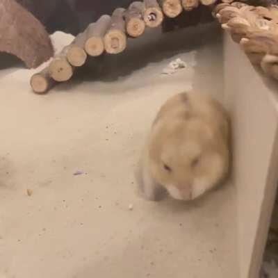 His cheeks be WIGGLING