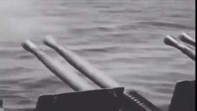 This place needs juts a little more freedomposting