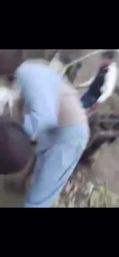 Guy tries to break up dogs fighting but went for a spin on a driveshaft instead