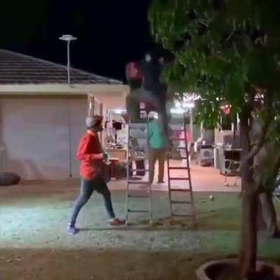 I've got a great idea.