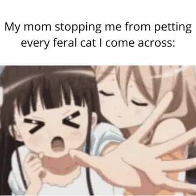 But mom! It's an obligation! TwT