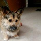 A little Saturday pick me up