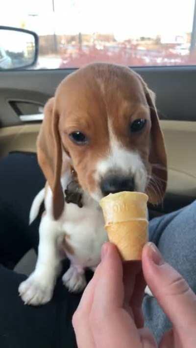 A Smol cone