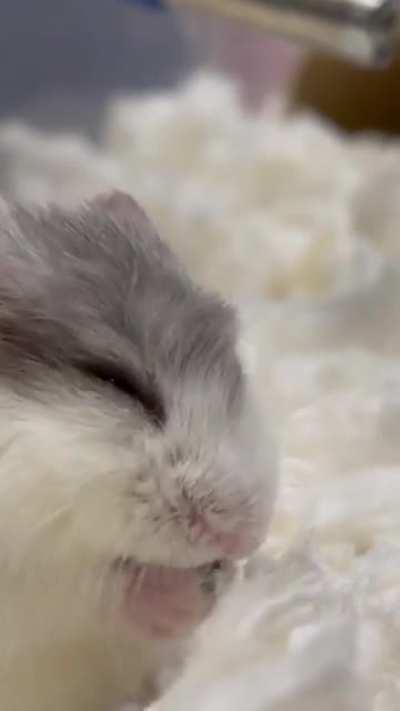 Felt asleep while eating