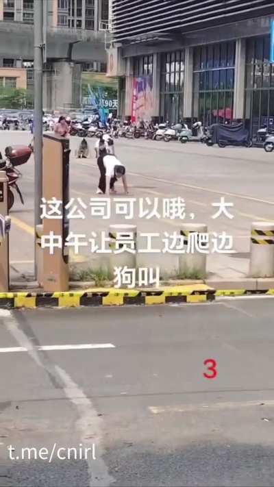 10月16日，广东惠州惠阳开城大道附近出现多名男女在地上爬行并学狗叫的场景，引发关注。