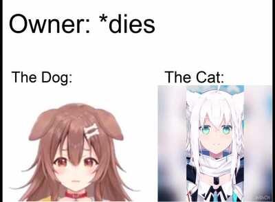 I wouldn't mind if Fubuki smiled at my corpse