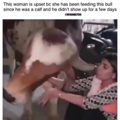 This is the cutest of apologies you will see.