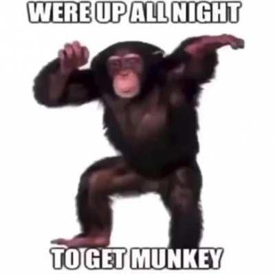 🐵