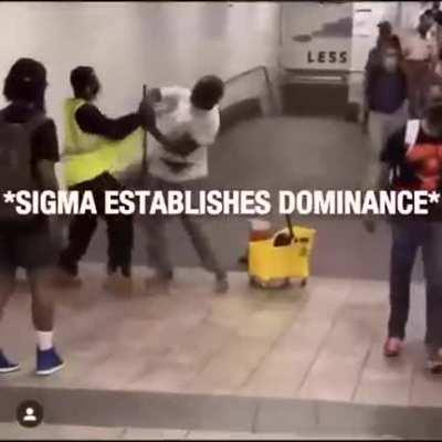 Sigma shits when and where he wants.