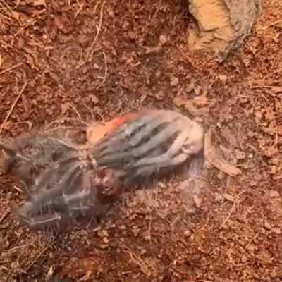 This is completely normal behavior.