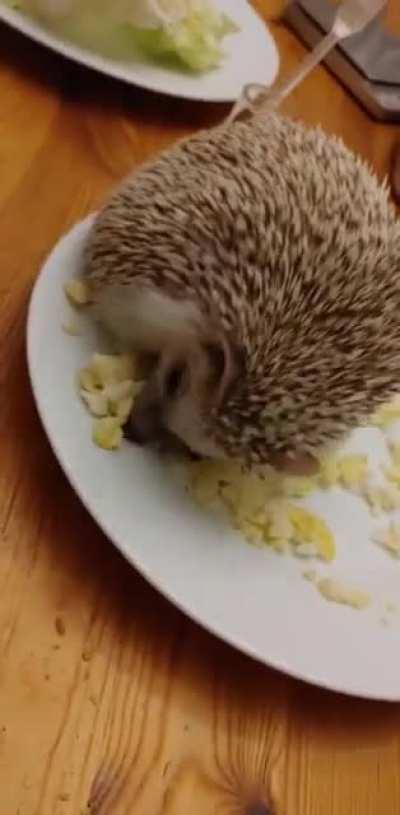 Nope, not sharing... If I sit on em, they're mine!