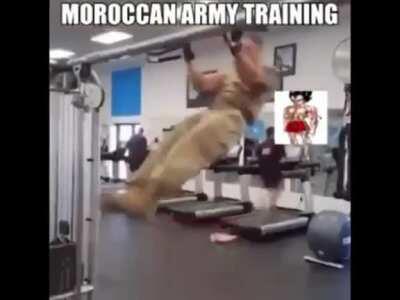 dzayer_military_propaganda.mp4