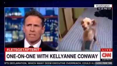This is still one of my favorite interviews with Kelly Anne Conway 😂😂😂😂