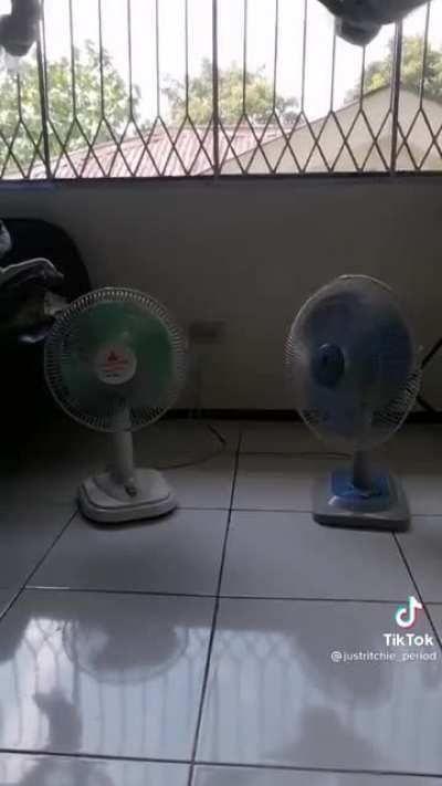 Yieeeeeee sana all😌