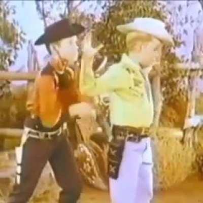 Hat gun: causes 500 damage, can only be fired after player or party member has fainted.