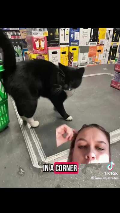 Mischief being mischievous