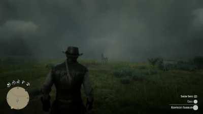 My horse had died, and the storm created an awesome scene for when I found for a new one.