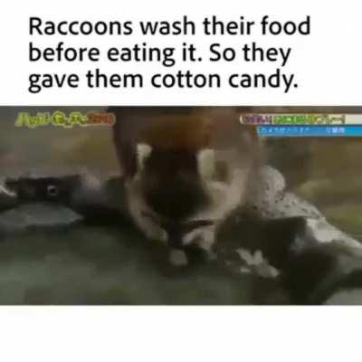 This Is So Mean😣.