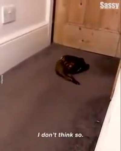 The more questions get asked, the more the owners get confused.