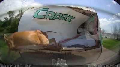 After smashing on the trailer, He still managed to run.