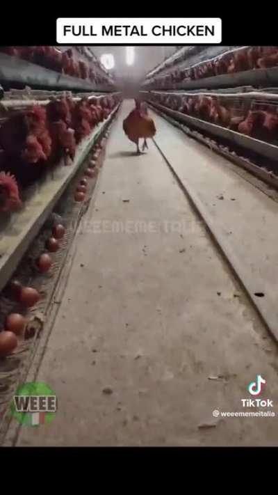 Where’s Private Yoker?