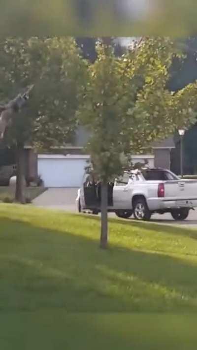 Just gotta deal with this hornet nest