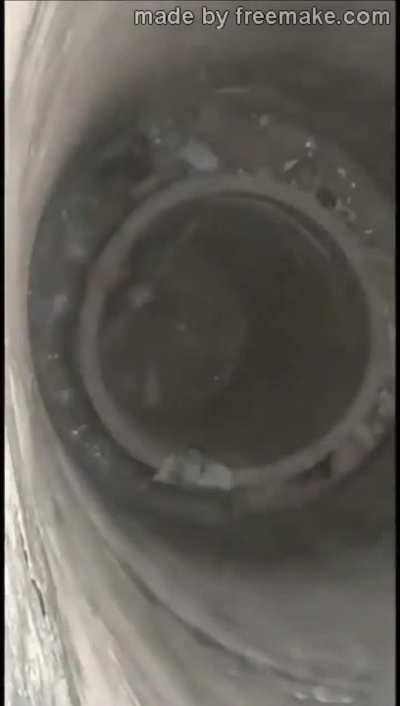 Seems like No one was Trying hard enough