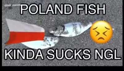 United States of America