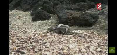 My man clutched his death 5 times in 1 minute