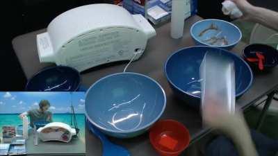 Local streamer attempts to clean pan