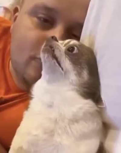 "Get a human they said, it will be fun they said"