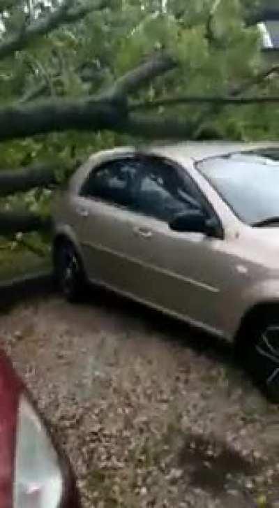 После урагана в Электростали